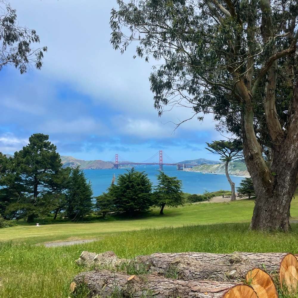 Meet your Posher, Nicki